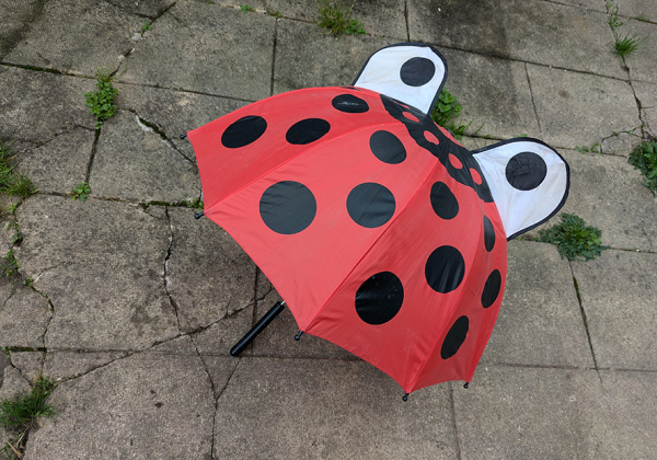 PARAPLUIEENFANTCOCCINELLE01