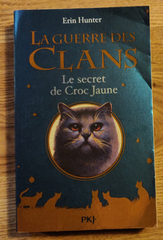 LAGUERREDESCLANSCYCLEIVL1