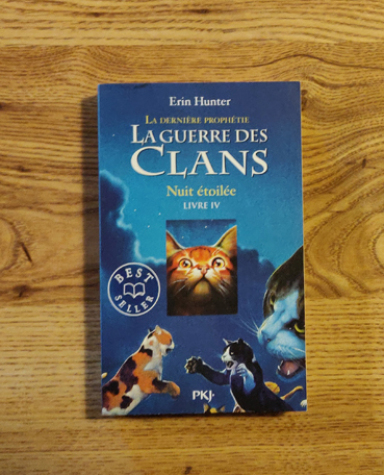 LAGUERREDESCLANSCYCLEVL4